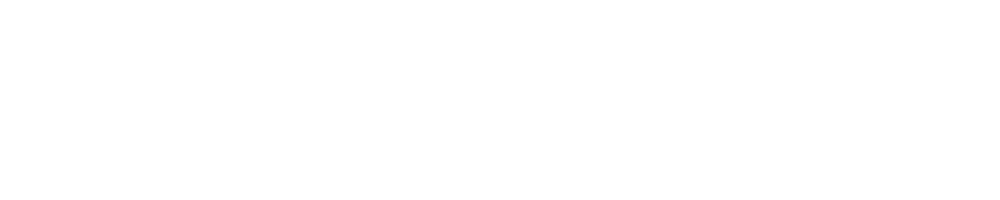 Northletic Logo